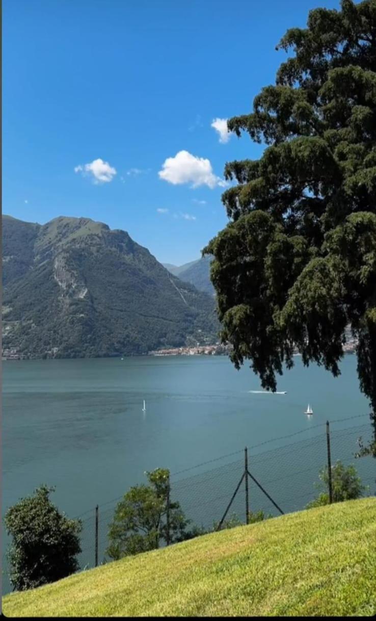 Villa Meraviglia - Villa With Breathtaking Lake Como Views คอลีโก ภายนอก รูปภาพ